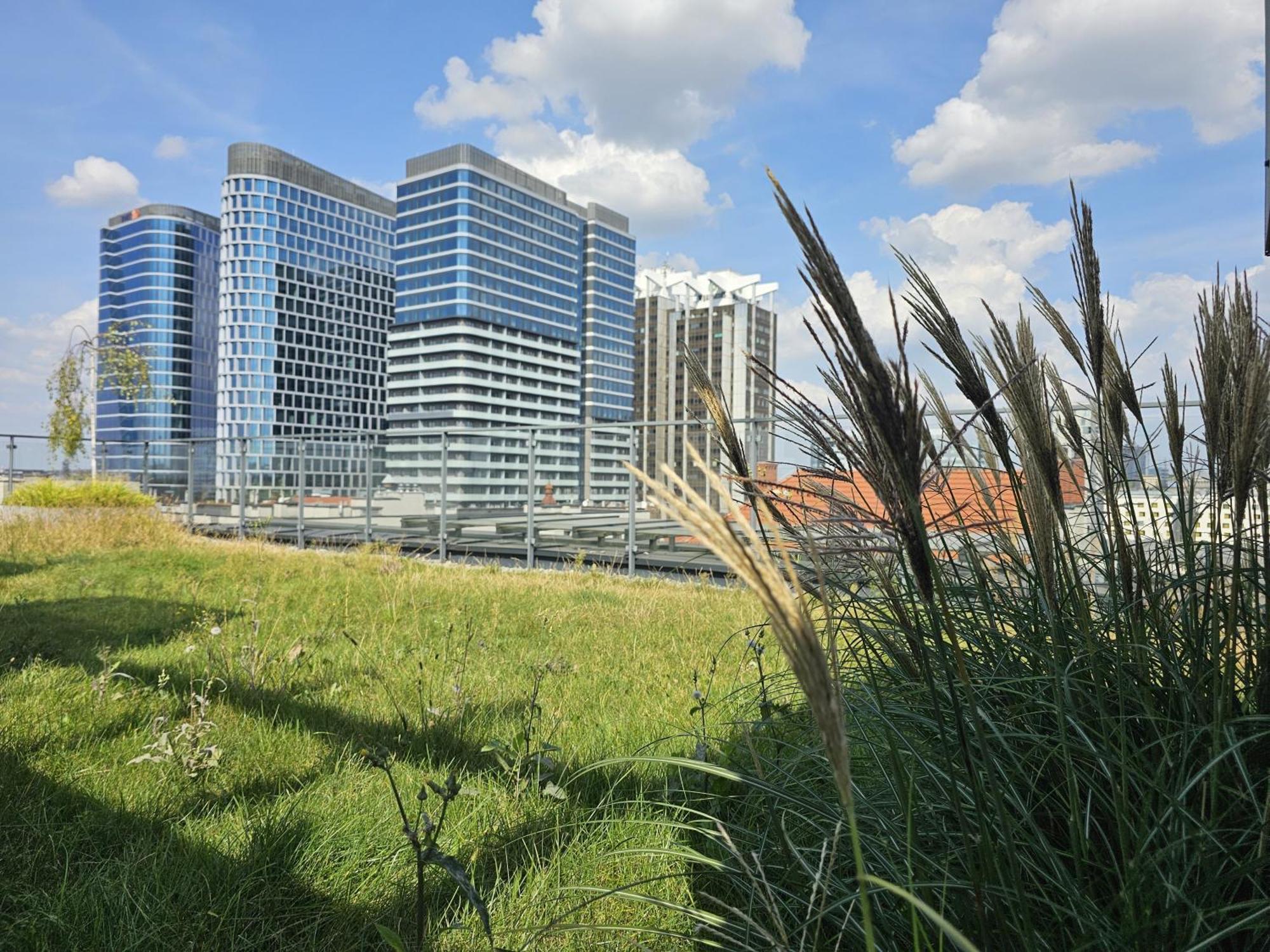 Urban Apartments Premium, Opolska 10 No 80, Free Garage, Self Check-In カトヴィツェ エクステリア 写真
